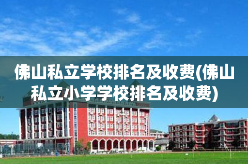 佛山私立学校排名及收费(佛山私立小学学校排名及收费)