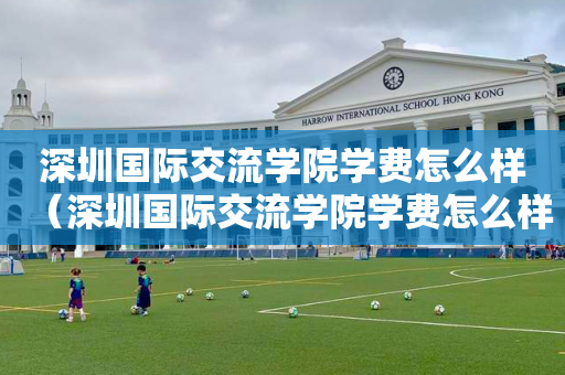 深圳国际交流学院学费怎么样（深圳国际交流学院学费怎么样啊）