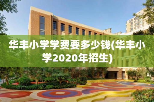 华丰小学学费要多少钱(华丰小学2020年招生)