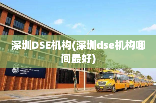 深圳DSE机构(深圳dse机构哪间最好)