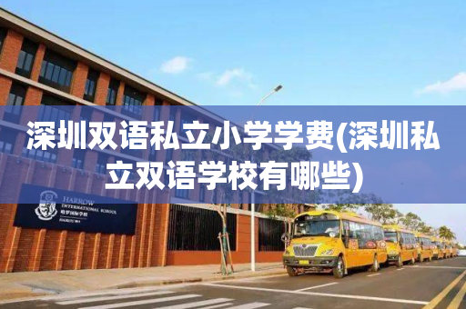深圳双语私立小学学费(深圳私立双语学校有哪些)