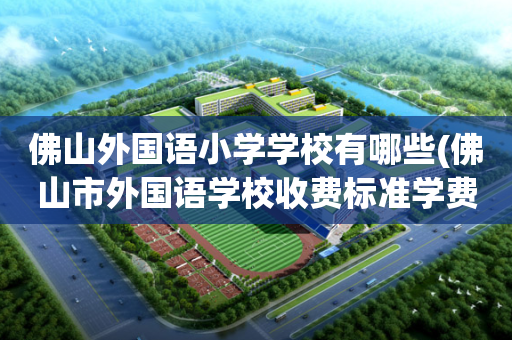 佛山外国语小学学校有哪些(佛山市外国语学校收费标准学费及学校简介)