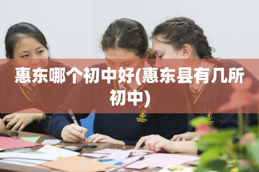 惠东哪个初中好(惠东县有几所初中)