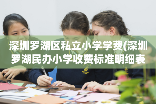 深圳罗湖区私立小学学费(深圳罗湖民办小学收费标准明细表2020)