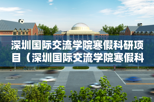 深圳国际交流学院寒假科研项目（深圳国际交流学院寒假科研项目名单）
