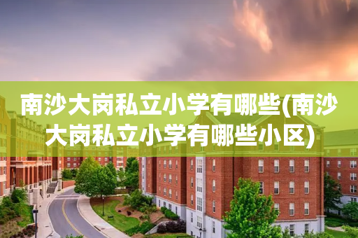 南沙大岗私立小学有哪些(南沙大岗私立小学有哪些小区)