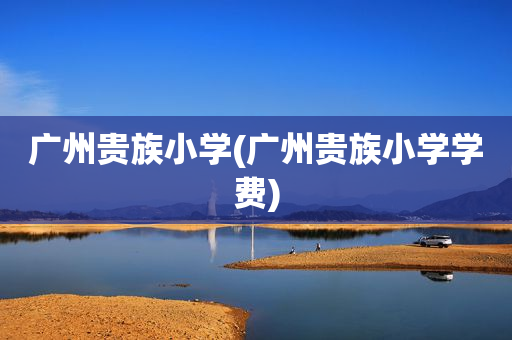 广州贵族小学(广州贵族小学学费)