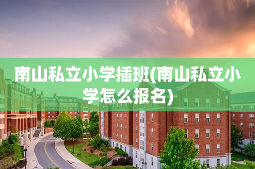南山私立小学插班(南山私立小学怎么报名)