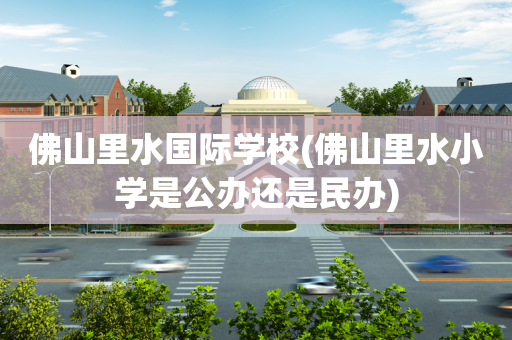 佛山里水国际学校(佛山里水小学是公办还是民办)