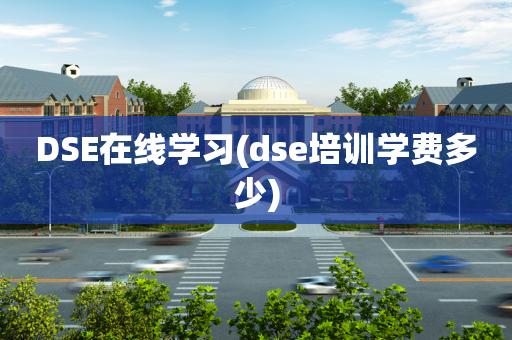 DSE在线学习(dse培训学费多少)
