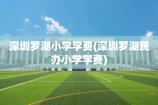 深圳罗湖小学学费(深圳罗湖民办小学学费)
