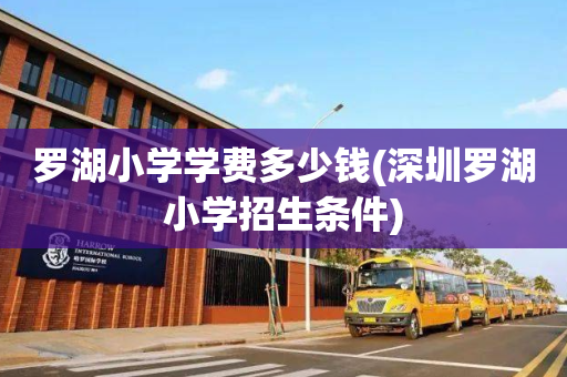 罗湖小学学费多少钱(深圳罗湖小学招生条件)