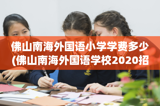 佛山南海外国语小学学费多少(佛山南海外国语学校2020招生小学一年级)