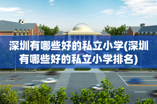深圳有哪些好的私立小学(深圳有哪些好的私立小学排名)