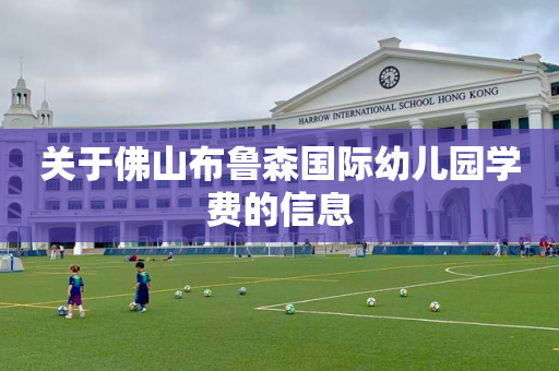 关于佛山布鲁森国际幼儿园学费的信息