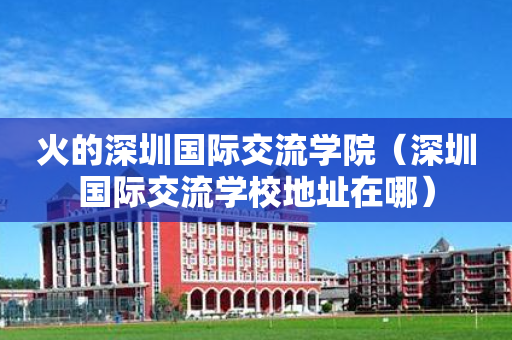 火的深圳国际交流学院（深圳国际交流学校地址在哪）