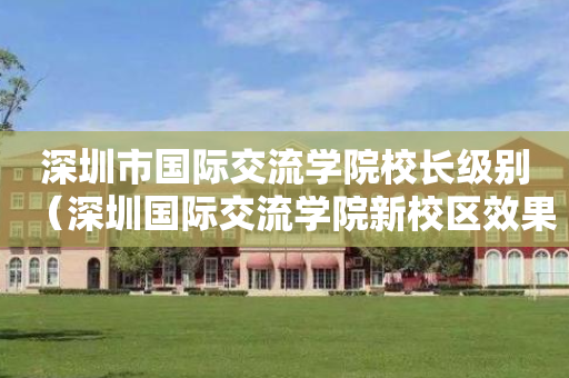 深圳市国际交流学院校长级别（深圳国际交流学院新校区效果图）