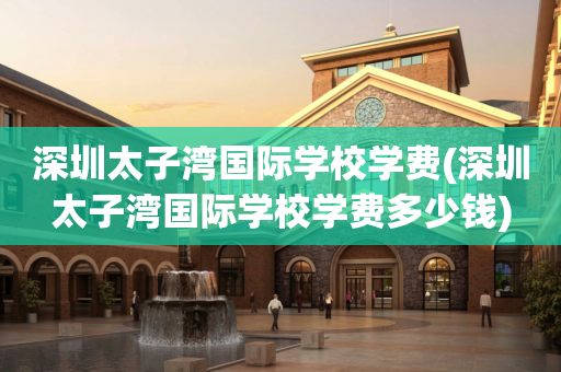 深圳太子湾国际学校学费(深圳太子湾国际学校学费多少钱)