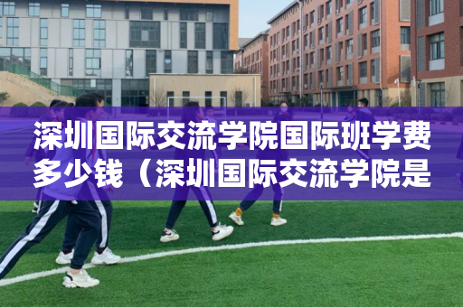 深圳国际交流学院国际班学费多少钱（深圳国际交流学院是培训机构吗）