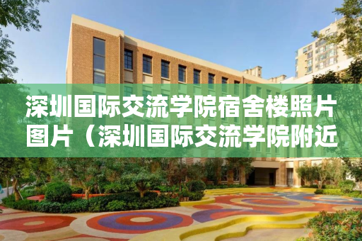 深圳国际交流学院宿舍楼照片图片（深圳国际交流学院附近的酒店）