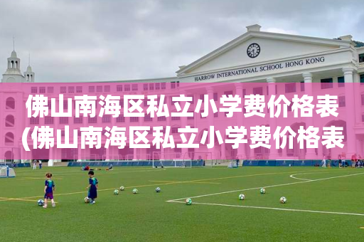 佛山南海区私立小学费价格表(佛山南海区私立小学费价格表查询)