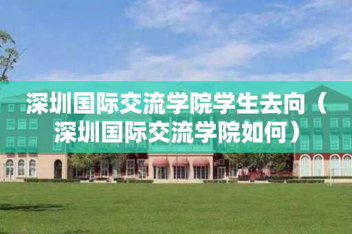 深圳国际交流学院学生去向（深圳国际交流学院如何）