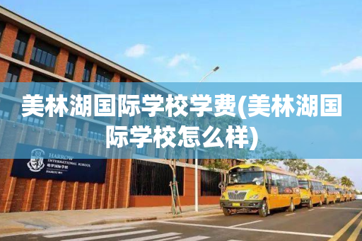 美林湖国际学校学费(美林湖国际学校怎么样)