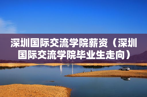 深圳国际交流学院薪资（深圳国际交流学院毕业生走向）