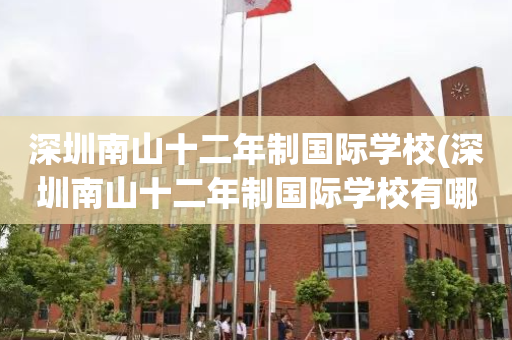 深圳南山十二年制国际学校(深圳南山十二年制国际学校有哪些)