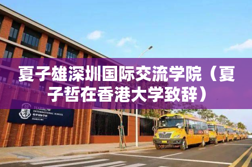 夏子雄深圳国际交流学院（夏子哲在香港大学致辞）