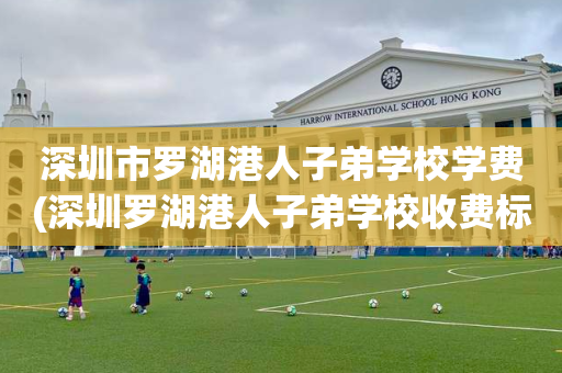 深圳市罗湖港人子弟学校学费(深圳罗湖港人子弟学校收费标准)
