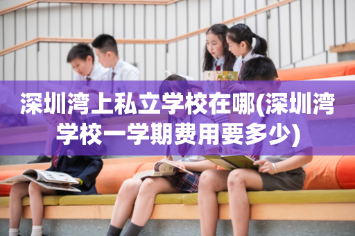 深圳湾上私立学校在哪(深圳湾学校一学期费用要多少)