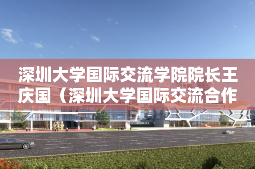 深圳大学国际交流学院院长王庆国（深圳大学国际交流合作部）
