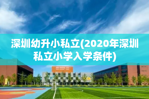 深圳幼升小私立(2020年深圳私立小学入学条件)