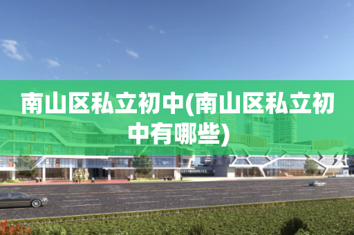 南山区私立初中(南山区私立初中有哪些)