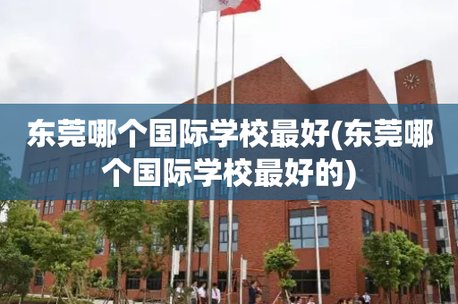 东莞哪个国际学校最好(东莞哪个国际学校最好的)