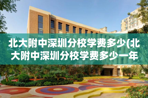 北大附中深圳分校学费多少(北大附中深圳分校学费多少一年)
