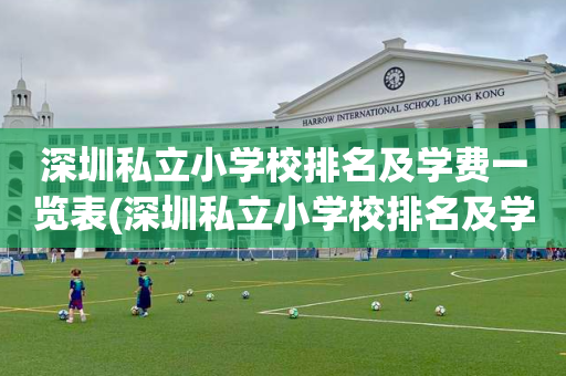 深圳私立小学校排名及学费一览表(深圳私立小学校排名及学费一览表最新)