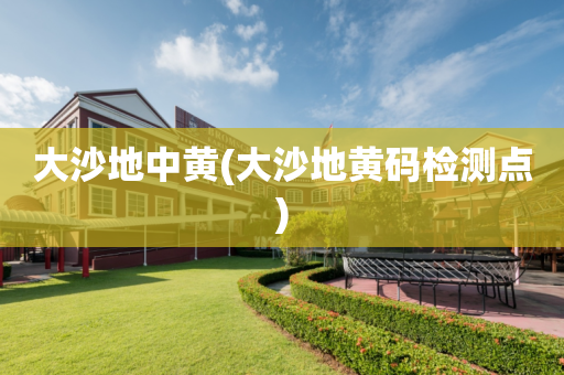 大沙地中黄(大沙地黄码检测点)