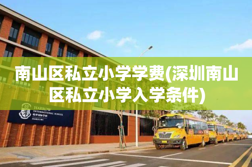 南山区私立小学学费(深圳南山区私立小学入学条件)