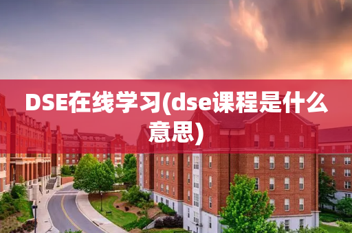 DSE在线学习(dse课程是什么意思)