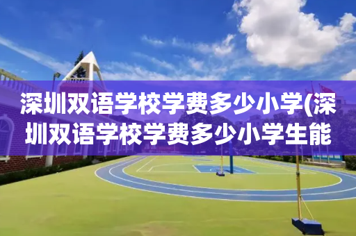 深圳双语学校学费多少小学(深圳双语学校学费多少小学生能上)