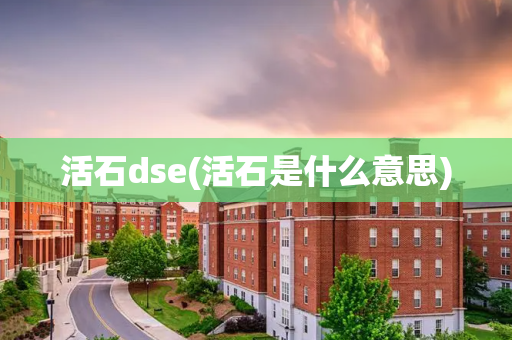 活石dse(活石是什么意思)