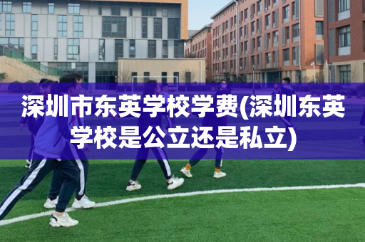 深圳市东英学校学费(深圳东英学校是公立还是私立)