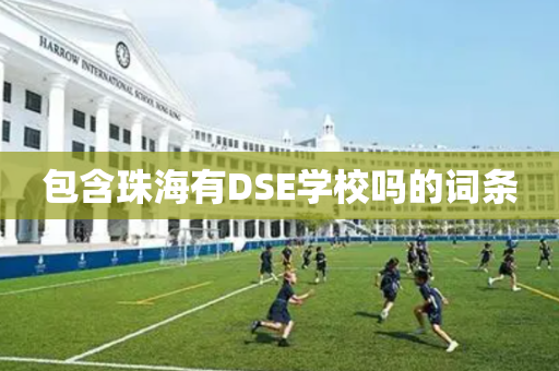 包含珠海有DSE学校吗的词条
