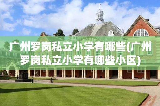 广州罗岗私立小学有哪些(广州罗岗私立小学有哪些小区)