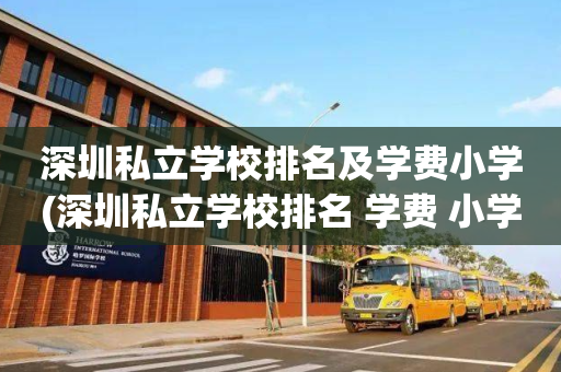 深圳私立学校排名及学费小学(深圳私立学校排名 学费 小学)