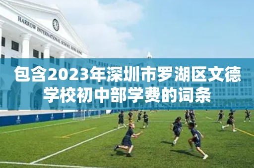 包含2023年深圳市罗湖区文德学校初中部学费的词条