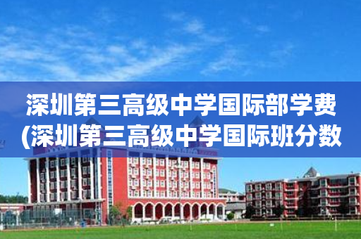 深圳第三高级中学国际部学费(深圳第三高级中学国际班分数线)