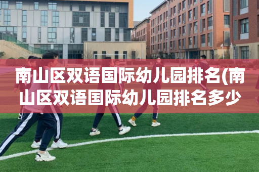 南山区双语国际幼儿园排名(南山区双语国际幼儿园排名多少)